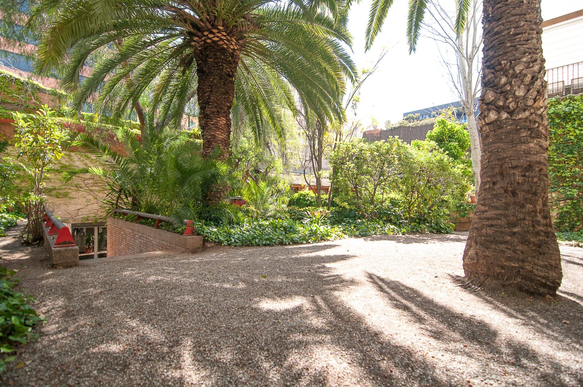 jardín exterior escuela